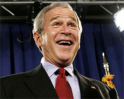 bush