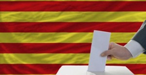 consulta